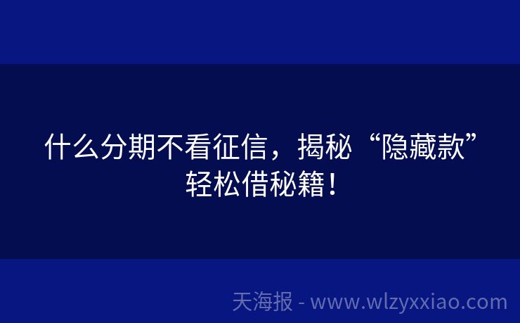 什么分期不看征信，揭秘“隐藏款”轻松借秘籍！