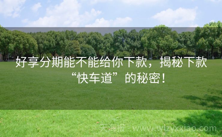 好享分期能不能给你下款，揭秘下款“快车道”的秘密！