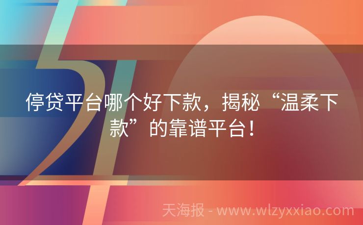 停贷平台哪个好下款，揭秘“温柔下款”的靠谱平台！