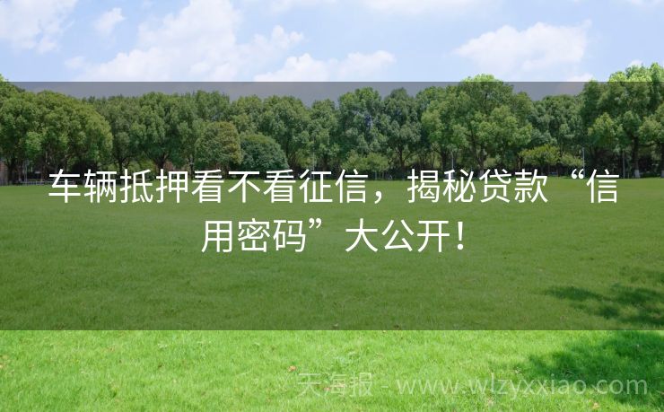 车辆抵押看不看征信，揭秘贷款“信用密码”大公开！