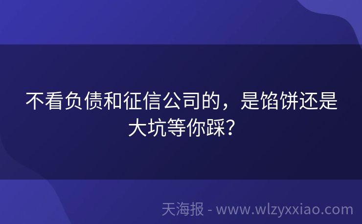 不看负债和征信公司的，是馅饼还是大坑等你踩？