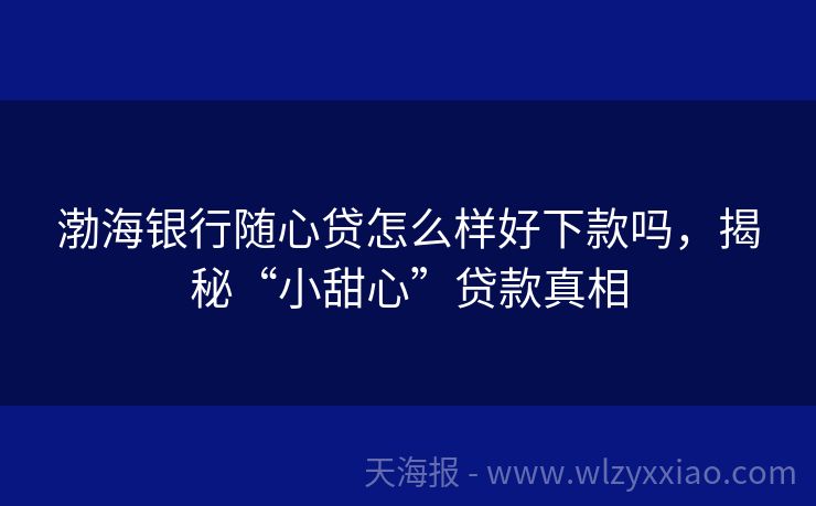 渤海银行随心贷怎么样好下款吗，揭秘“小甜心”贷款真相