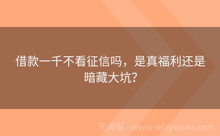 借款一千不看征信吗，是真福利还是暗藏大坑？