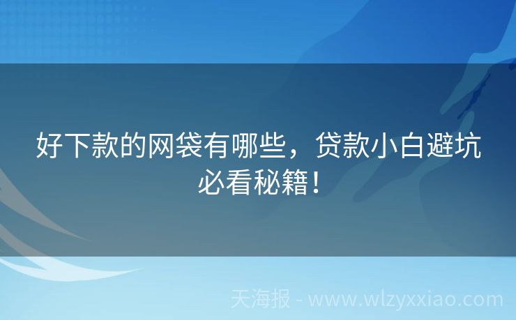 好下款的网袋有哪些，贷款小白避坑必看秘籍！