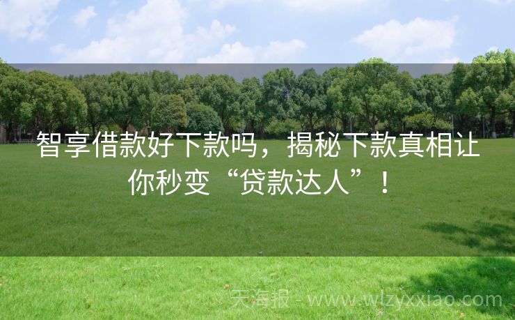 智享借款好下款吗，揭秘下款真相让你秒变“贷款达人”！