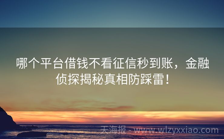 哪个平台借钱不看征信秒到账，金融侦探揭秘真相防踩雷！