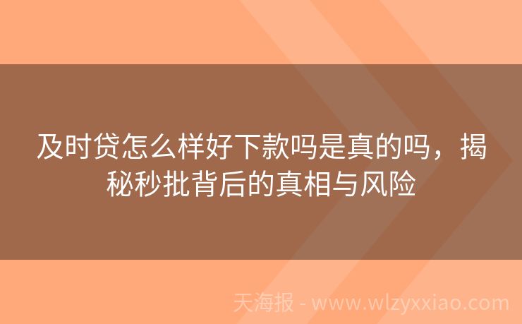 及时贷怎么样好下款吗是真的吗，揭秘秒批背后的真相与风险
