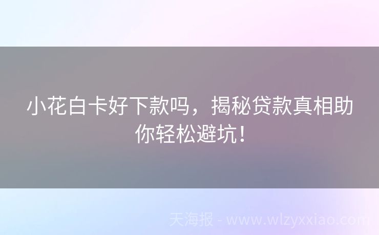 小花白卡好下款吗，揭秘贷款真相助你轻松避坑！