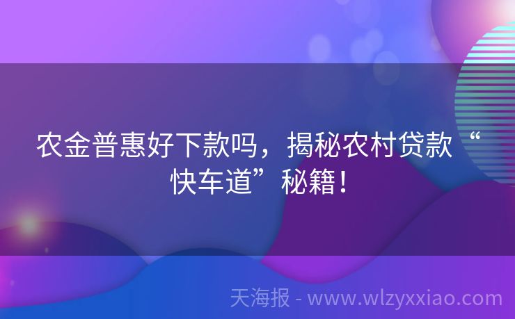 农金普惠好下款吗，揭秘农村贷款“快车道”秘籍！