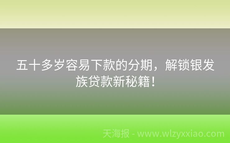 五十多岁容易下款的分期，解锁银发族贷款新秘籍！