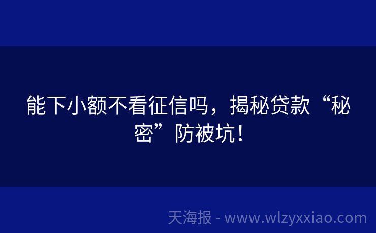 能下小额不看征信吗，揭秘贷款“秘密”防被坑！