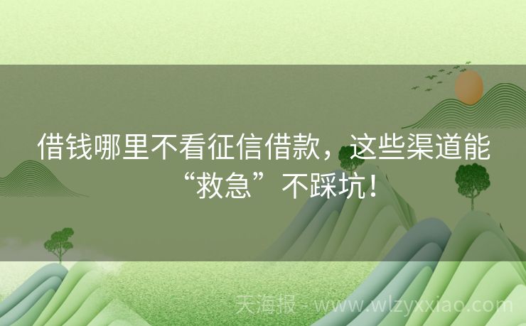 借钱哪里不看征信借款，这些渠道能“救急”不踩坑！