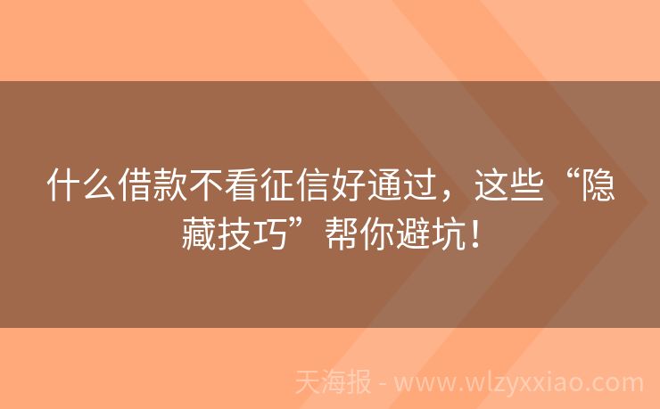 什么借款不看征信好通过，这些“隐藏技巧”帮你避坑！
