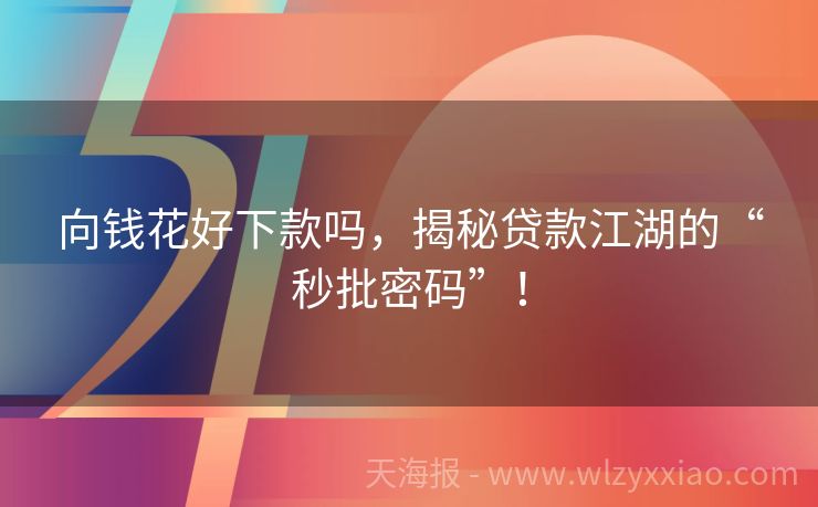 向钱花好下款吗，揭秘贷款江湖的“秒批密码”！