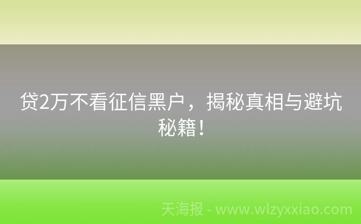 贷2万不看征信黑户，揭秘真相与避坑秘籍！