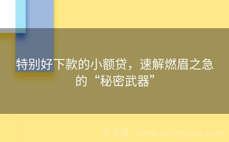 特别好下款的小额贷，速解燃眉之急的“秘密武器”