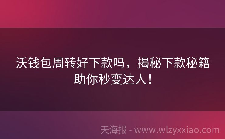 沃钱包周转好下款吗，揭秘下款秘籍助你秒变达人！