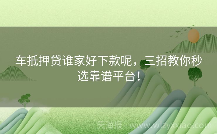车抵押贷谁家好下款呢，三招教你秒选靠谱平台！