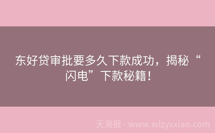东好贷审批要多久下款成功，揭秘“闪电”下款秘籍！
