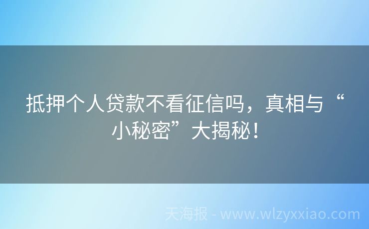 抵押个人贷款不看征信吗，真相与“小秘密”大揭秘！
