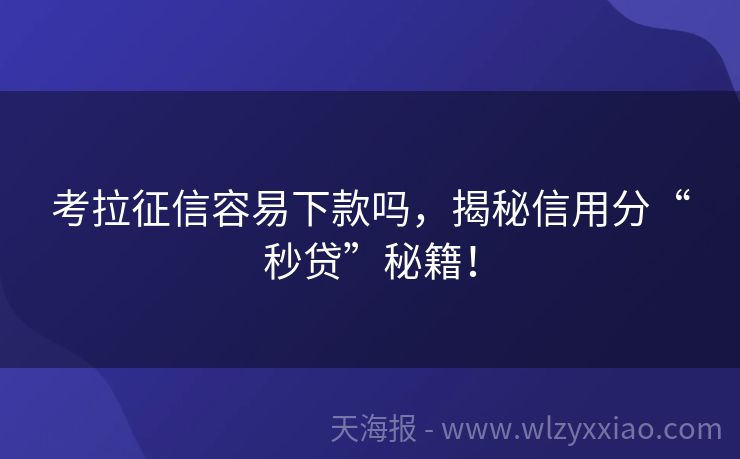 考拉征信容易下款吗，揭秘信用分“秒贷”秘籍！