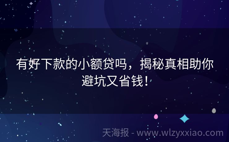 有好下款的小额贷吗，揭秘真相助你避坑又省钱！