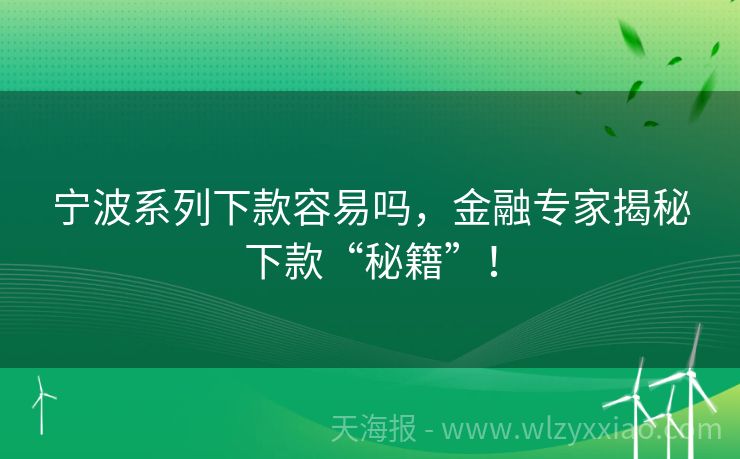 宁波系列下款容易吗，金融专家揭秘下款“秘籍”！