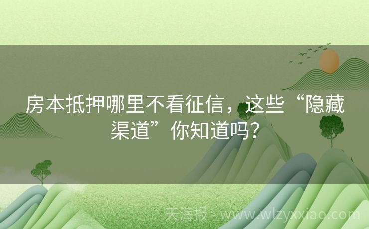 房本抵押哪里不看征信，这些“隐藏渠道”你知道吗？