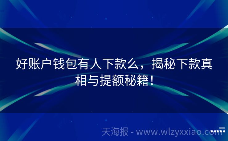 好账户钱包有人下款么，揭秘下款真相与提额秘籍！