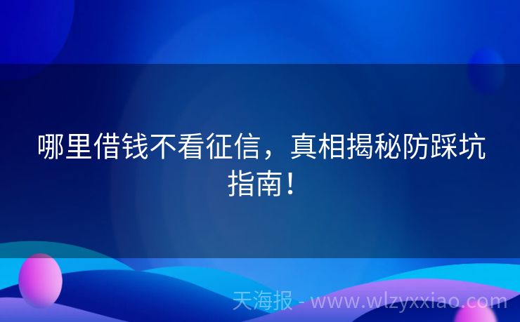 哪里借钱不看征信，真相揭秘防踩坑指南！