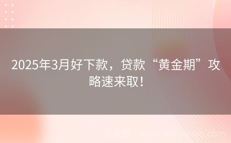 2025年3月好下款，贷款“黄金期”攻略速来取！