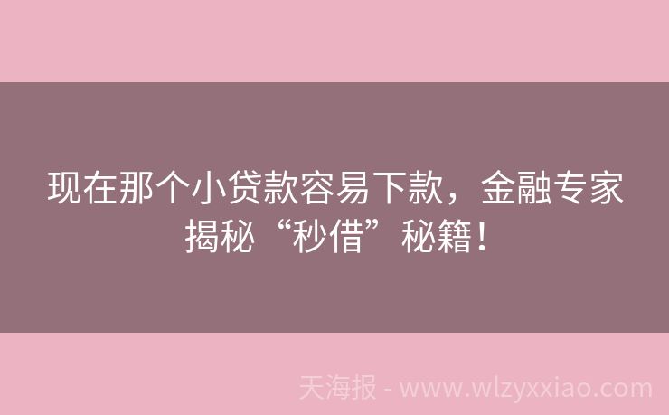 现在那个小贷款容易下款，金融专家揭秘“秒借”秘籍！