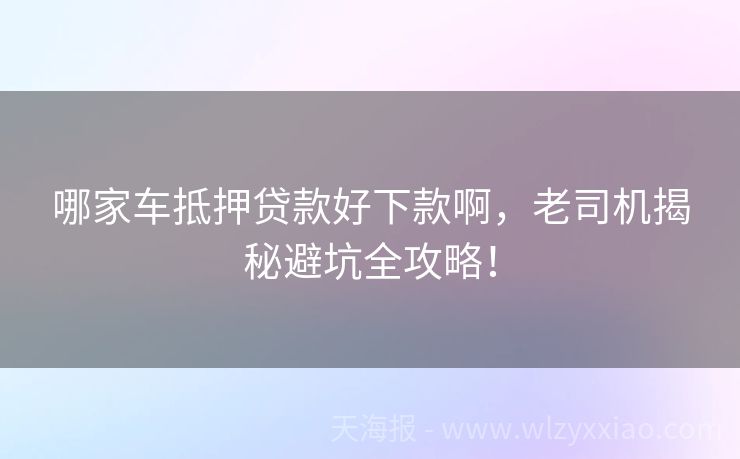 哪家车抵押贷款好下款啊，老司机揭秘避坑全攻略！