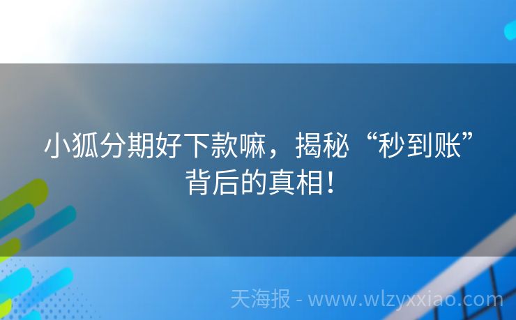 小狐分期好下款嘛，揭秘“秒到账”背后的真相！