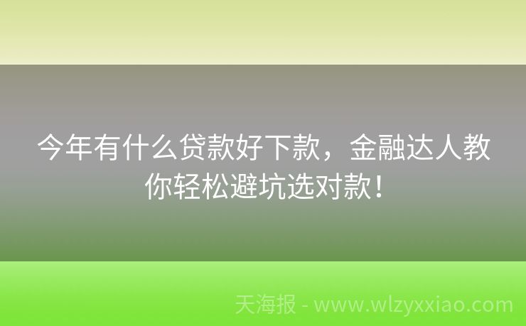 今年有什么贷款好下款，金融达人教你轻松避坑选对款！
