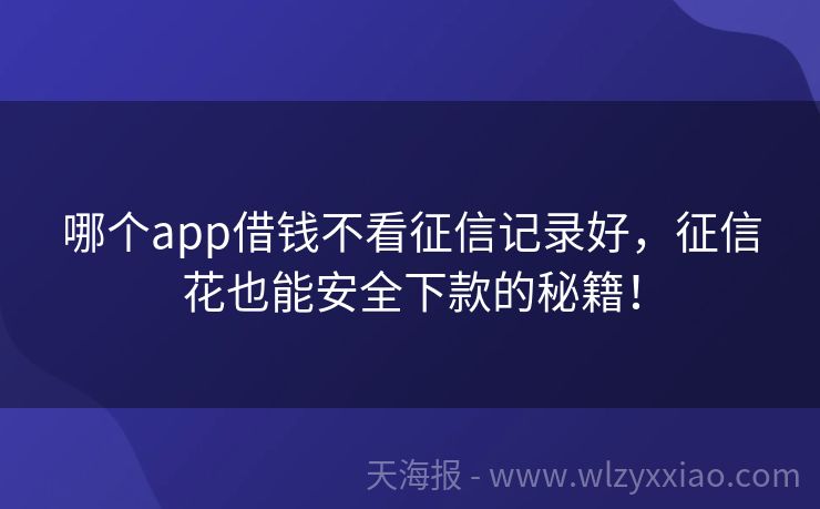 哪个app借钱不看征信记录好，征信花也能安全下款的秘籍！