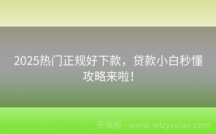 2025热门正规好下款，贷款小白秒懂攻略来啦！