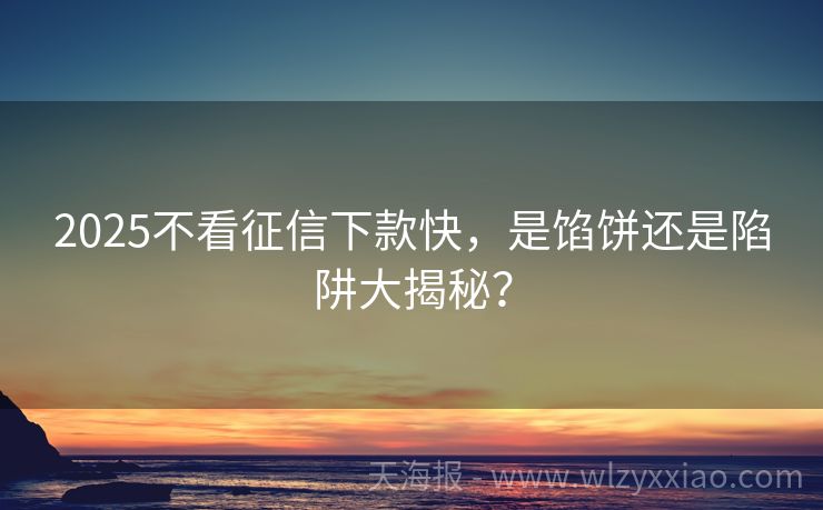 2025不看征信下款快，是馅饼还是陷阱大揭秘？