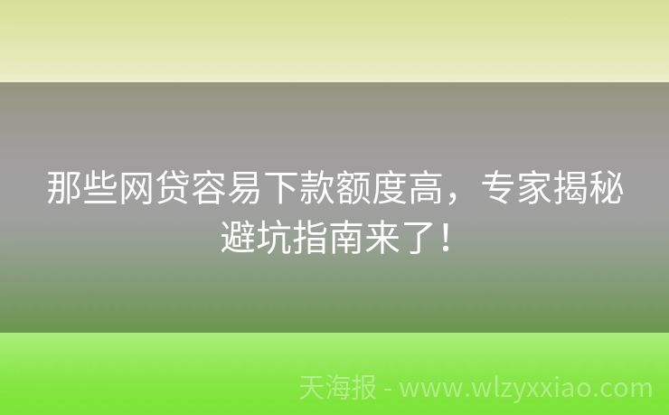 那些网贷容易下款额度高，专家揭秘避坑指南来了！