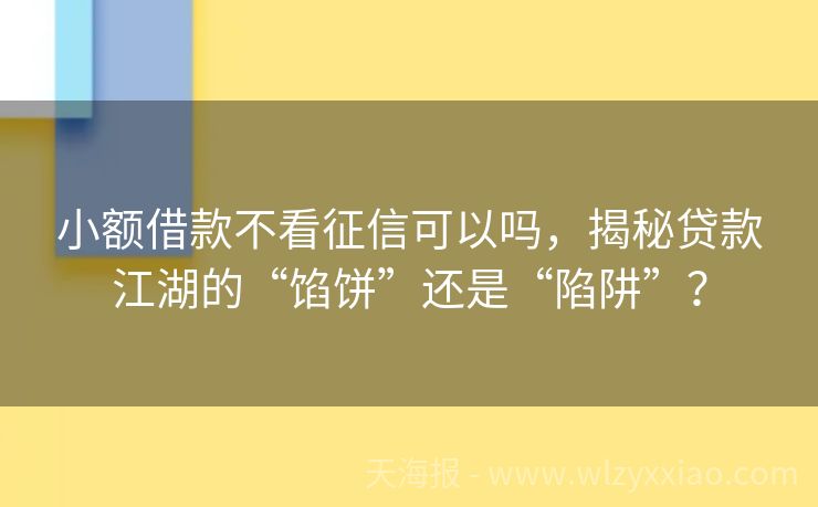 小额借款不看征信可以吗，揭秘贷款江湖的“馅饼”还是“陷阱”？
