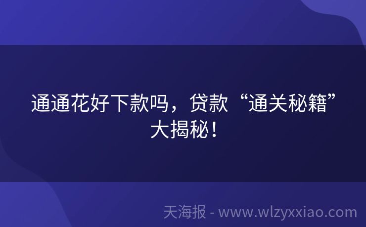 通通花好下款吗，贷款“通关秘籍”大揭秘！
