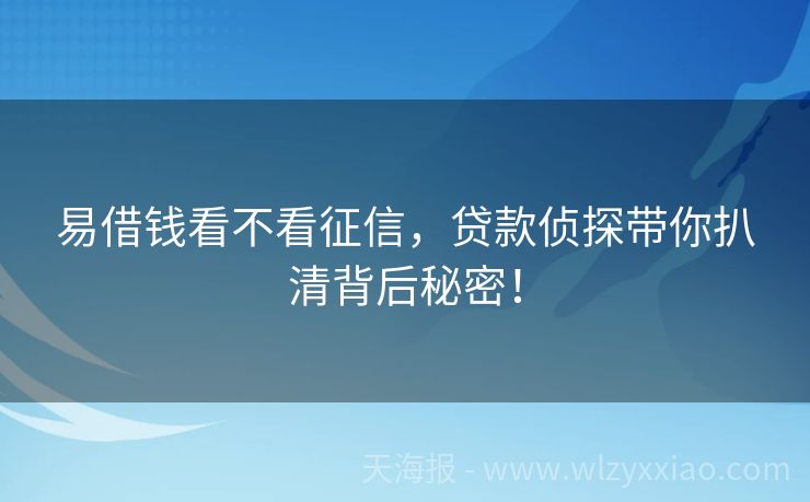 易借钱看不看征信，贷款侦探带你扒清背后秘密！