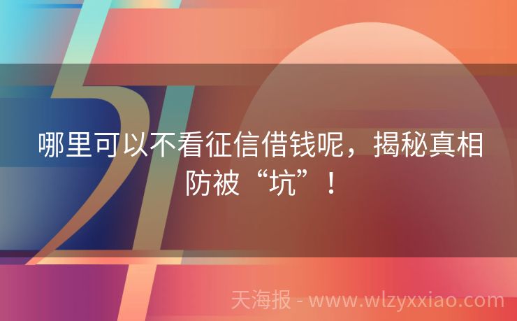 哪里可以不看征信借钱呢，揭秘真相防被“坑”！