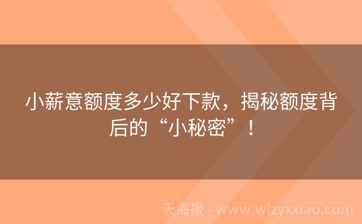 小薪意额度多少好下款，揭秘额度背后的“小秘密”！