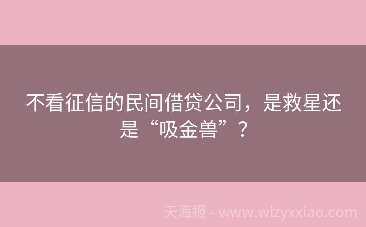 不看征信的民间借贷公司，是救星还是“吸金兽”？