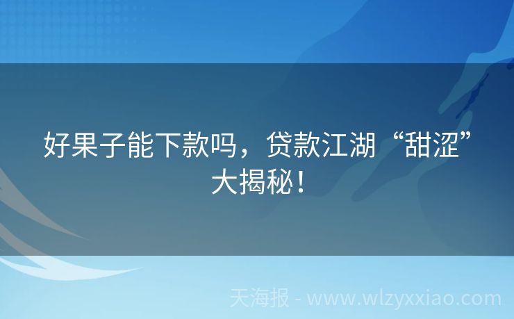 好果子能下款吗，贷款江湖“甜涩”大揭秘！