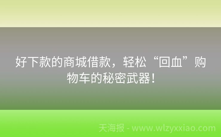 好下款的商城借款，轻松“回血”购物车的秘密武器！