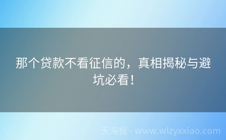 那个贷款不看征信的，真相揭秘与避坑必看！