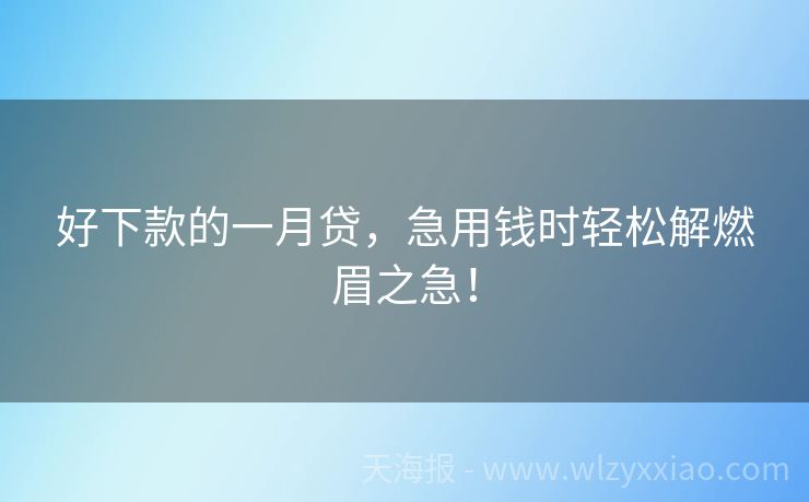 好下款的一月贷，急用钱时轻松解燃眉之急！