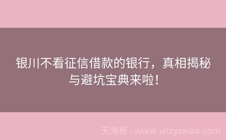 银川不看征信借款的银行，真相揭秘与避坑宝典来啦！